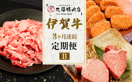 伊賀牛 定期便 3ヶ月 各部位 詰め合わせ 伊賀牛