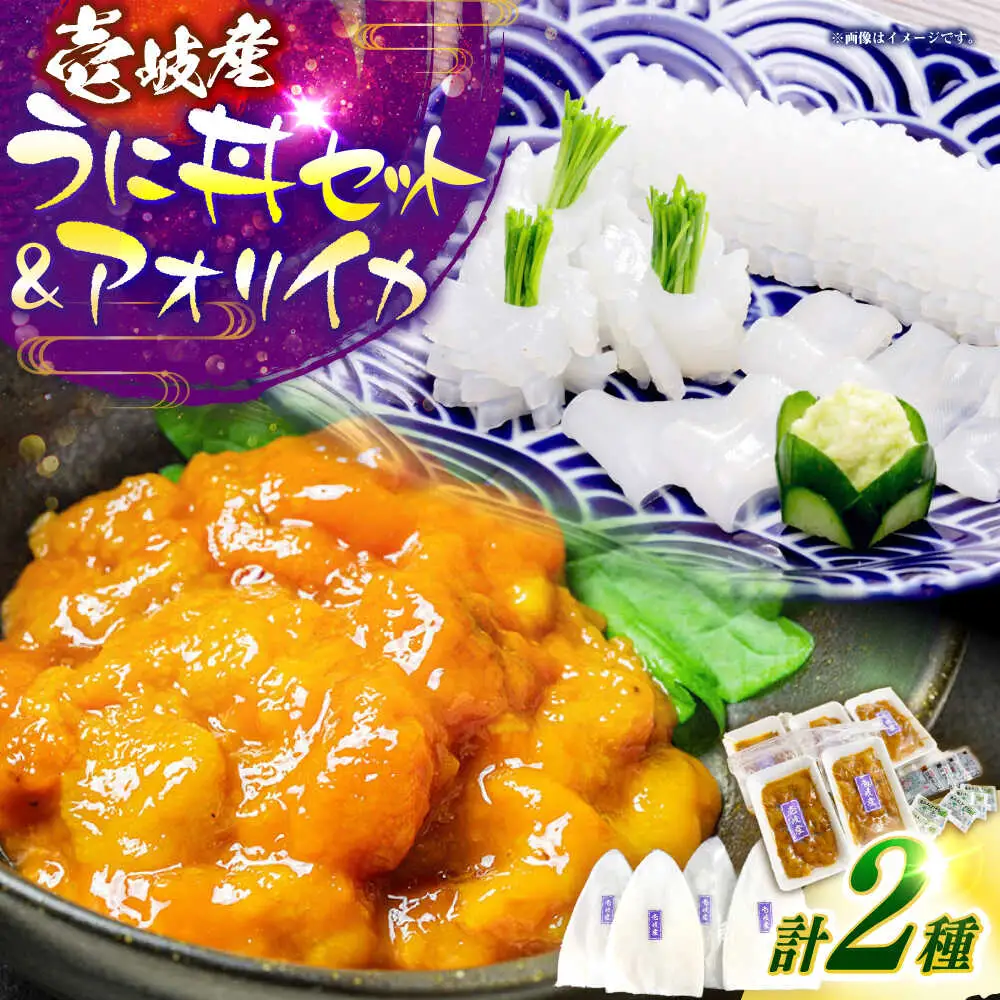 【お中元】うに丼セット ＆ アオリイカ [JCC025] うに イカ