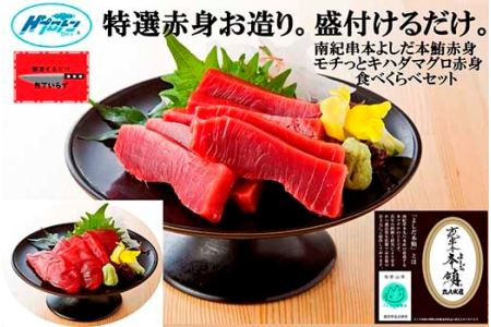 本鮪赤身320gとキハダ鮪赤身400gの2点セット 南紀串本よしだ【kny101】