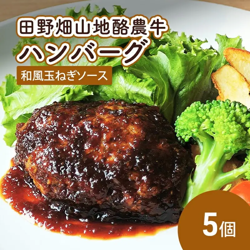 田野畑山地酪農牛ハンバーグ 和風玉ねぎソース 5個 秀吉 ハンバーグ hideyoshi001