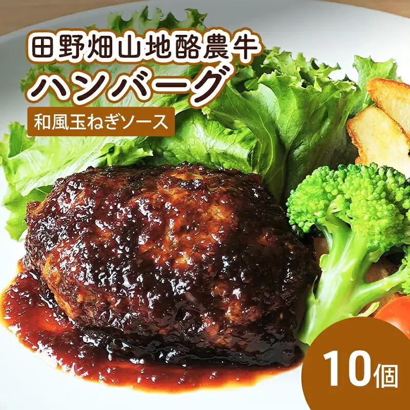 田野畑山地酪農牛 ハンバーグ 和風玉ねぎソース 10個 ハンバーグ hideyoshi002