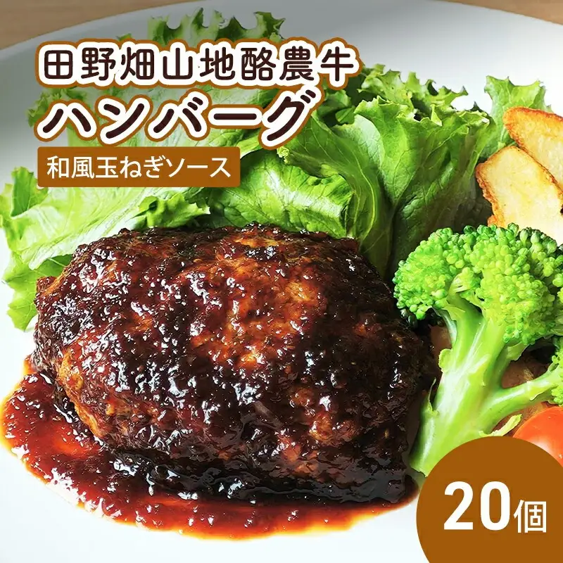 田野畑山地酪農牛ハンバーグ 和風玉ねぎソース 20個 秀吉 ハンバーグ hideyoshi004