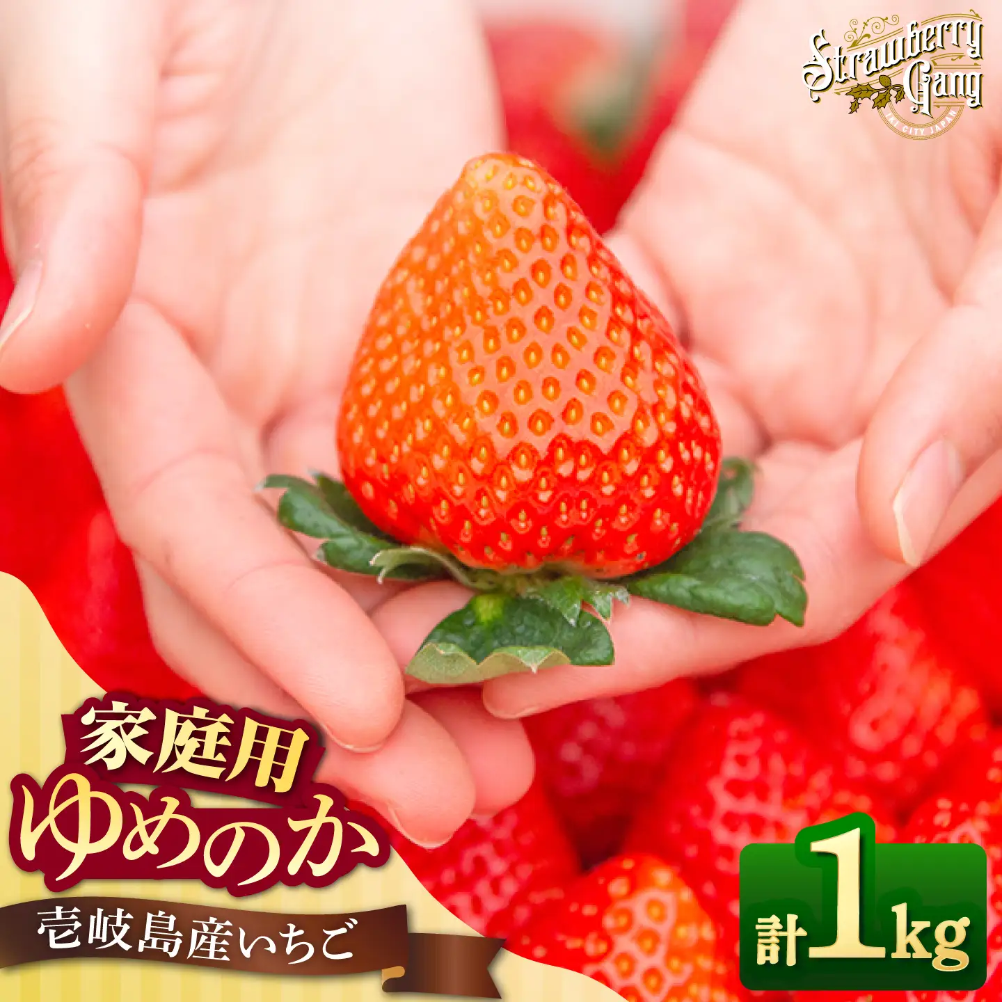 【先行予約】【家庭用】ゆめのか 約250g×4パック 【2027年1月以降順次発送】 [JEM003] イチゴ 苺 訳あり 