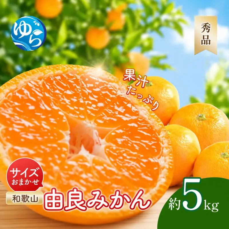 由良みかん 秀品 5kg サイズおまかせ(Ｌ・М・Ｓ) / 和歌山 みかん 柑橘 高級 甘い オレンジ 由良 完熟 ※2026年11月下旬～2027年1月上旬頃に順次発送予定【ssml004-yura-r-5ml137】