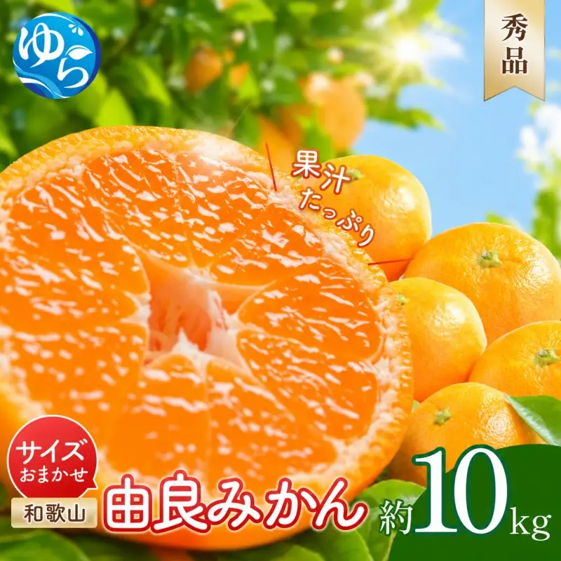 由良みかん 秀品 10kg サイズおまかせ(Ｌ・М・Ｓ) / 和歌山 みかん 柑橘 高級 甘い オレンジ 由良 完熟 ※2026年11月下旬～2027年1月上旬頃に順次発送予定【sml004-yura-r-10】 