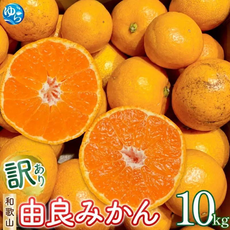 和歌山 由良みかん 10kg 訳あり キズ 家庭用 サイズ混合 (２Ｌ～２Ｓ) / みかん ミカン 和歌山 由良 フルーツ 果物 柑橘  ※2026年11月下旬～2027年1月上旬頃発送予定 ※北海道・沖縄・離島への配送不可【sml004-yura-c-10】