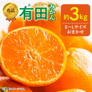 【2027年1月発送】秀品 有田みかん 和歌山県産 S～Lサイズ 大きさお任せ 約3kg_DZ6009n_01