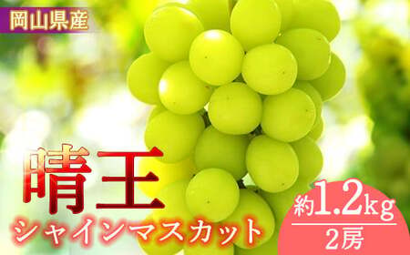 岡山県産　シャインマスカット「晴王」約１.２ｋｇ(１房６００ｇ以上）２房入り（ハックルベリーフィン）