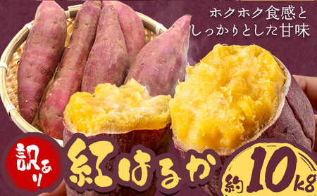 【先行予約】訳あり さつまいも 紅はるか 約10kg 株式会社シグマサポート《2026年10月中旬-12月中旬頃出荷予定(土日祝除く)》さつまいも 