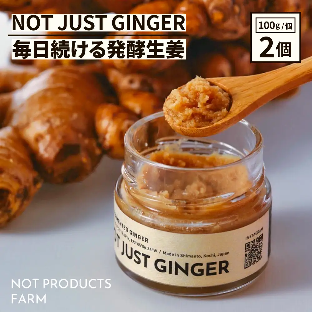 四万十生姜×特許乳酸菌 毎日続ける発酵生姜 「NOT JUST GINGER」 2個入り しょうが ショウガ 生姜ペースト ／ Fnp-04