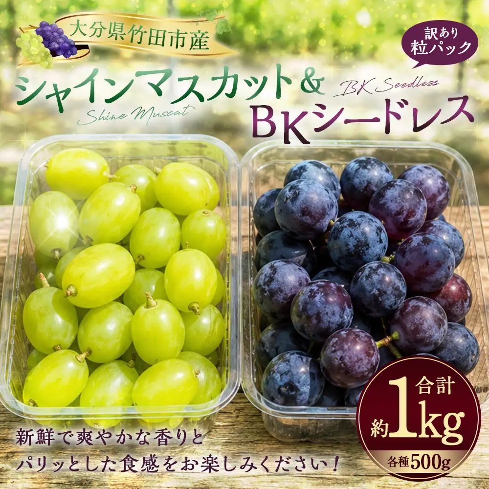 【数量限定】 粒パック 訳あり シャインマスカット （約500g） ＆ BKシードレス （約500g） 計約1kg （各1パック） 【2026年8月下旬～11月上旬発送開始予定】