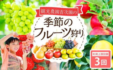 観光農園吉次園の「旬を味わうフルーツ狩りパスポート」（計3回） 果物狩り フルーツ 狩り 食べ比べ 食べ放題 季節 旬 家族 体験チケット チケット 体験 熊本県