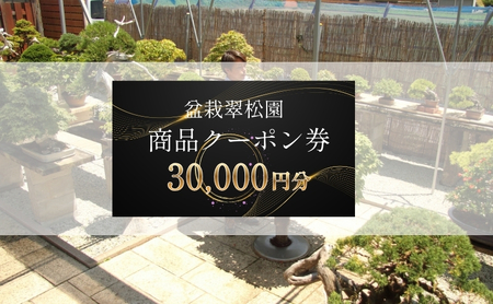 盆栽 翠松園 商品クーポン券 30,000円分 植物 観葉植物 園芸 商品券 兵庫県