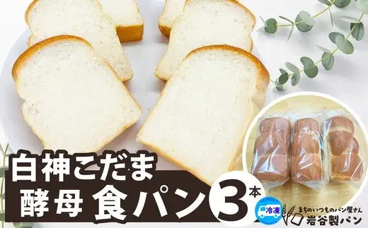 白神こだま酵母食パン（3本）　【30P3009】【岩谷製パン】