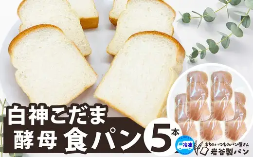 白神こだま酵母食パン（5本）　【45P3003】【岩谷製パン】