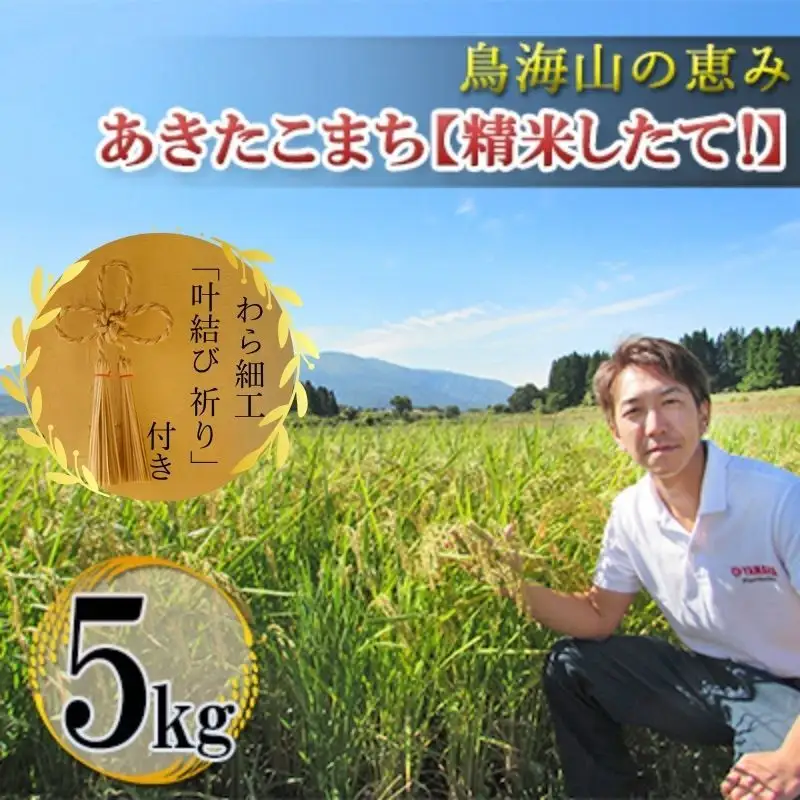 あきたこまち ひの米 精米 叶結び祈り わら細工 あきたこまち【5kg】