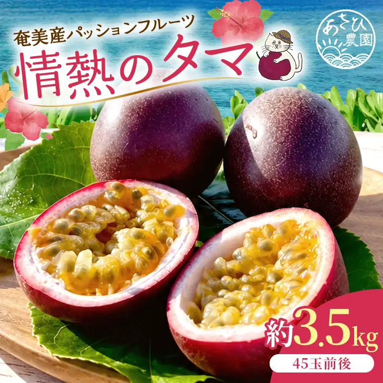 【 2027年 先行予約 】【 情熱のタマ 】 奄美産 パッションフルーツ 3.5kg （ 45玉前後 ） A203-001-02 フルーツ 果物 果実 期間限定 限定 甘酸っぱい 濃厚 美味しい おいしい 産地直送 奄美あさひ農園 ふるさと納税 鹿児島 奄美市 おすすめ ランキング プレゼント ギフト