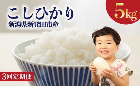 【3回定期便】令和7年産 コシヒカリ 5kg 定期便 精米 白米 【玄米対応不可】 noguchi005_01