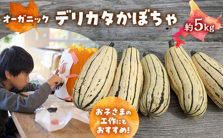 かぼちゃ オーガニック デリカタ 北海道産 かぼちゃ【約5kg】
