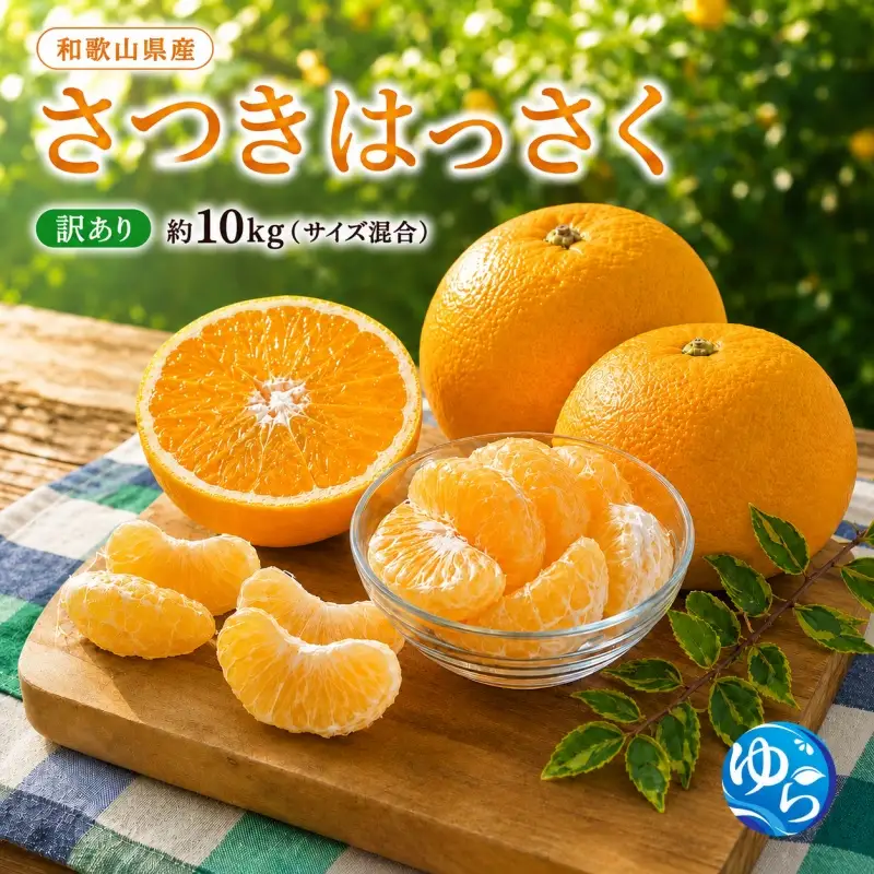 和歌山由良町産 さつきはっさく 10kg 訳あり サイズ混合 ※2027年3月下旬から4月下旬に順次発送【sml022-satu-c-10A】