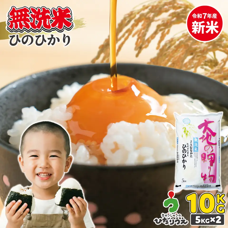【令和7年産】わがまち育ち 無洗米 ひのひかり 10kg_HA1961 米 白米