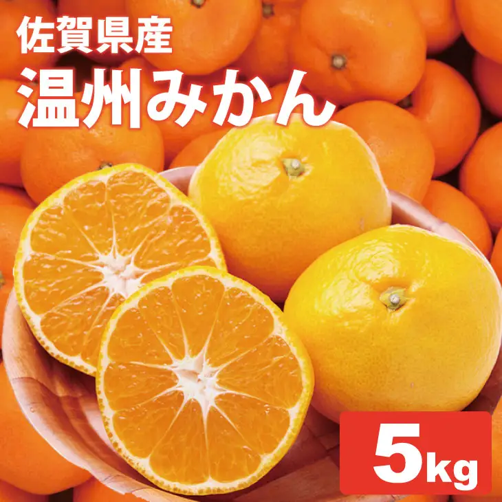 【先行予約】 佐賀県産 みかん（5kg）　潮風ファーム 大津 柑橘 温州みかん  B140-073