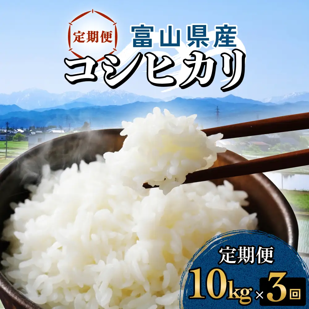 【3回定期便】富山県産 コシヒカリ 10kg 富山県 氷見市 米 コシヒカリ 定期便