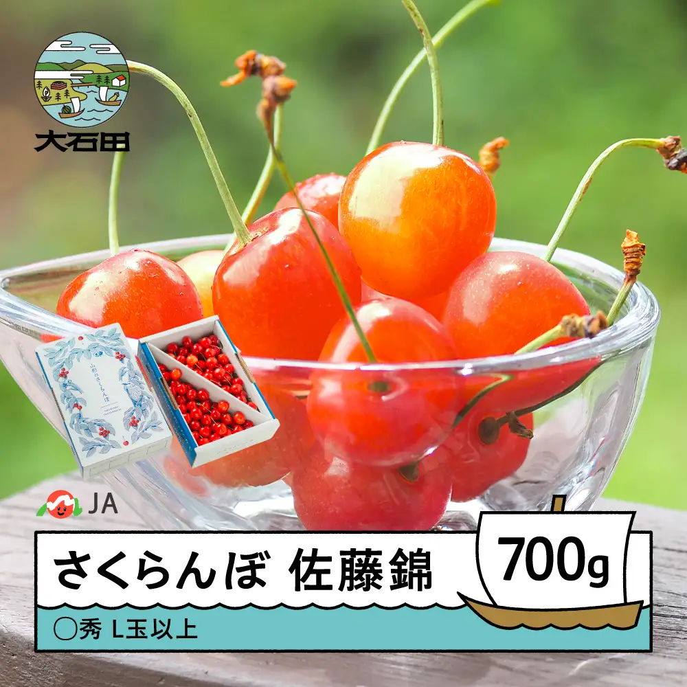【先行予約】 さくらんぼ 佐藤錦 700g バラ ◯秀 L玉以上 令和9年産 ja-snbax700