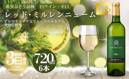 ワイン 岩の原ワイン レッド・ミルレンニューム 6本 720ml 希少ぶどう品種 辛口 お酒 希少 ぶどう 岩の原 新潟 上越 最短3日で発送 お届け：7日以内にお届けします。