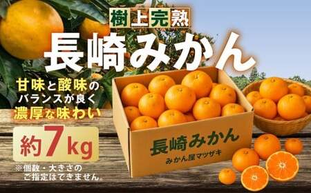 ★受付期間限定★【樹上完熟】 長崎みかん （普通温州） 約7kg 温州蜜柑 温州みかん 蜜柑 みかん ミカン 果物 果実 フルーツ 完熟 長崎県 長崎市 常温 【2026年12月下旬-2027年1月下旬発送予定】