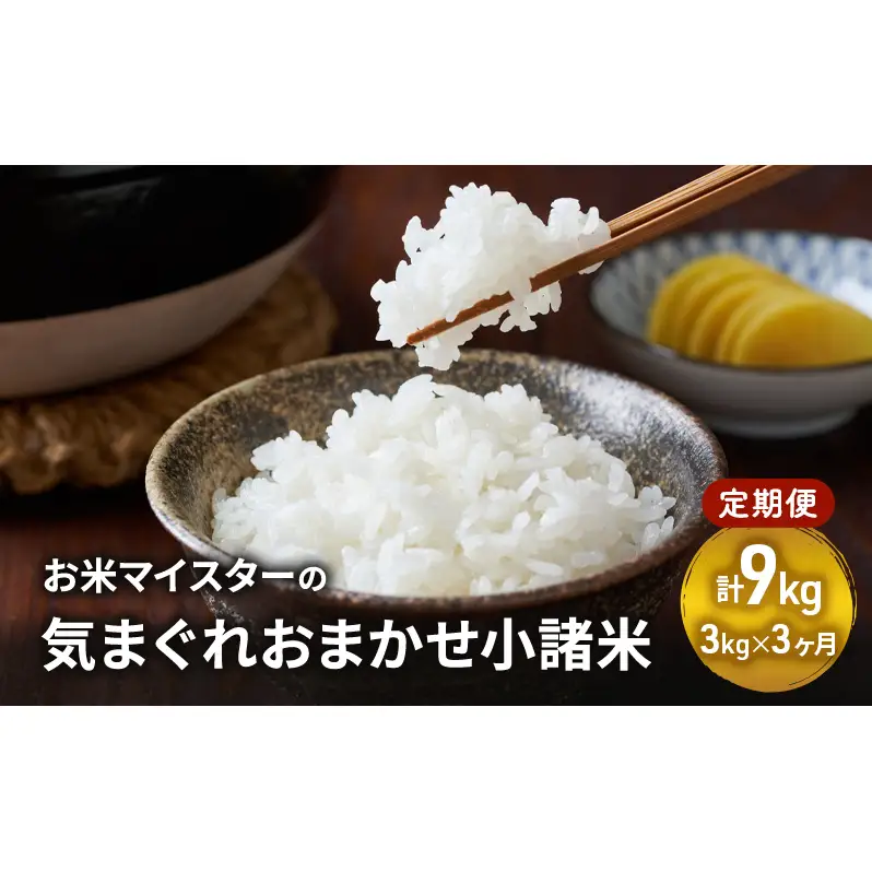 お米マイスターおすすめ小諸米 精米 3kg 3ヶ月定期便