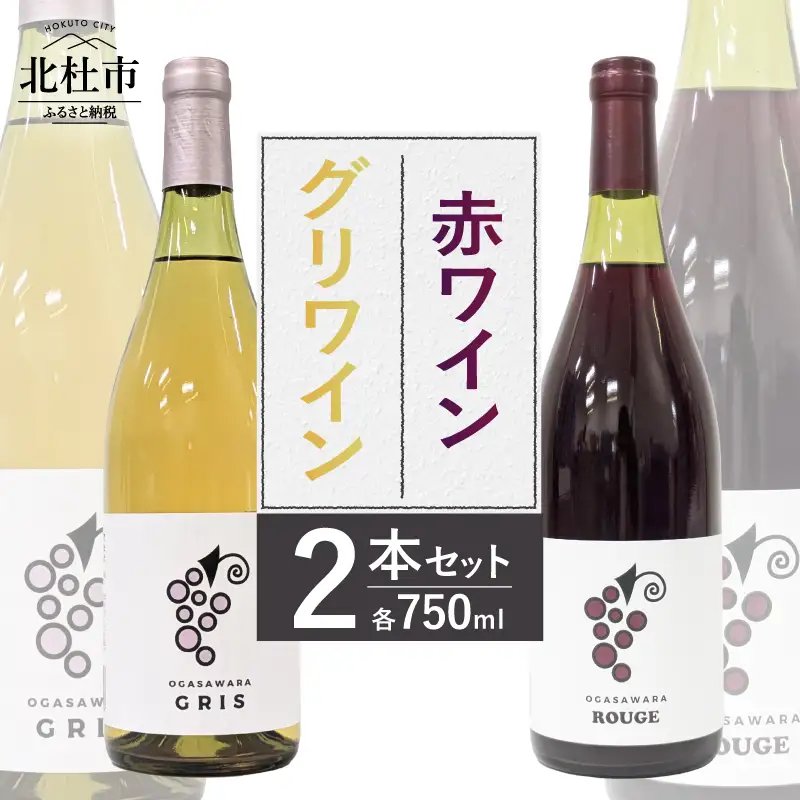 赤ワイン・グリワイン 2本セット　ワイン 750ml 2本 セット 辛口 数量限定 アルコール 10％ 8％ マスカットベーリーA 飲み比べ ご褒美 肉料理 パスタ 魚料理 マリネ 酒 国産 記念日 贈り物 ギフト 山梨県 北杜市 小笠原ワイナリー 小笠原ファーム [h086]