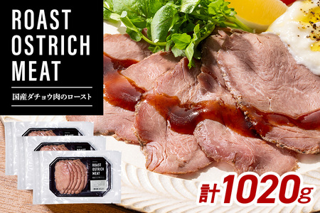 【吉野家】 国産ダチョウ肉のロースト 冷凍 ダチョウ お肉 吉野家 監修 肉 低脂質 高たんぱく質 高蛋白質 赤身 ダイエット 筋トレ 茨城県 石岡市 C11-001