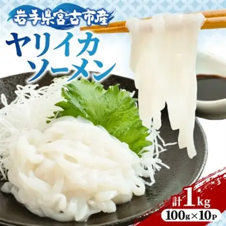 ヤリイカソーメン宮古産100g×10パック(1kg)【配送不可地域：離島】【1702175】