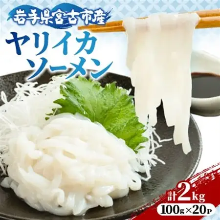 ヤリイカソーメン宮古産100g×20パック(2kg)【配送不可地域：離島】【1702177】