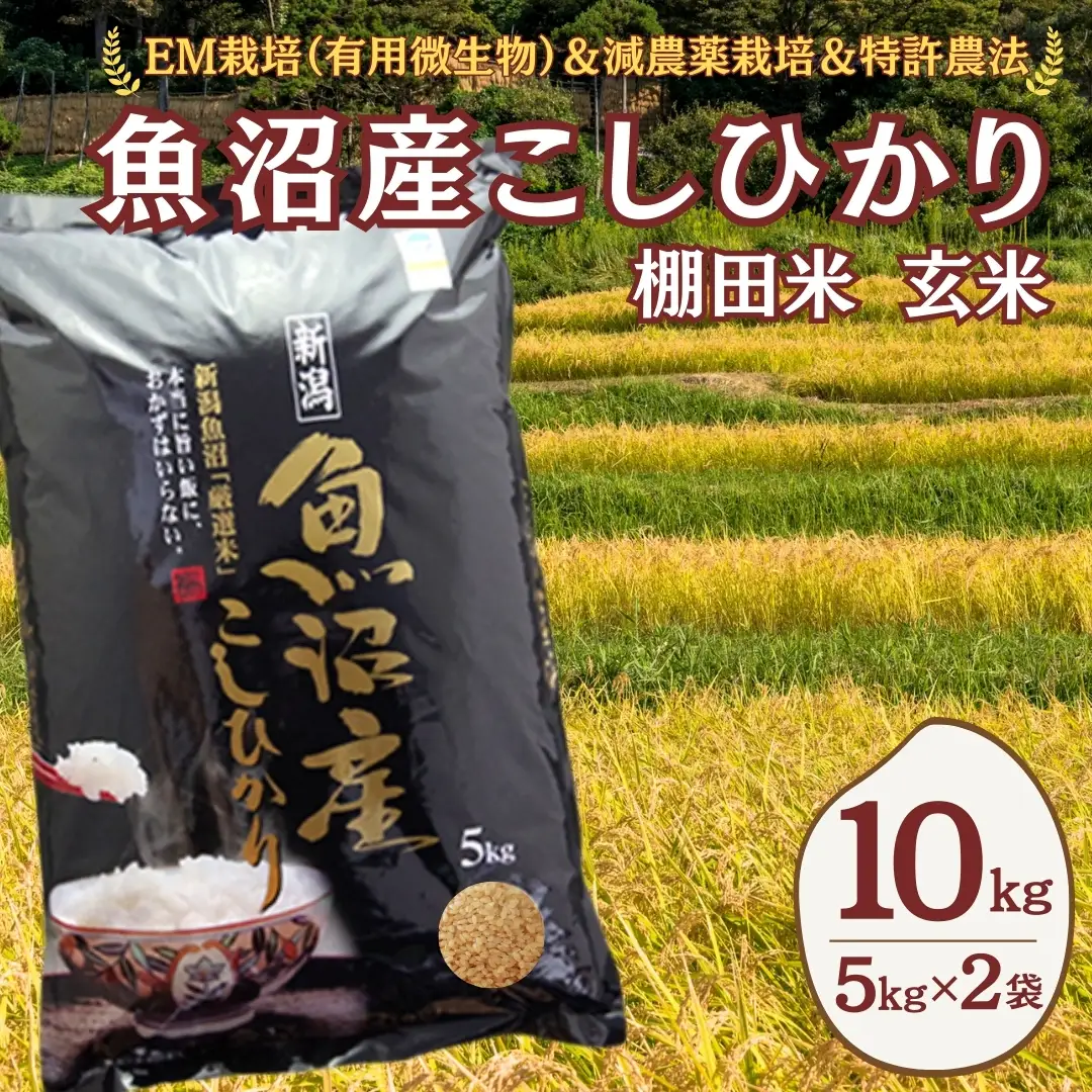 魚沼産コシヒカリ 玄米 10kg(5キロ×2) 佐藤農場 | おこめ 玄米 新潟県 小千谷