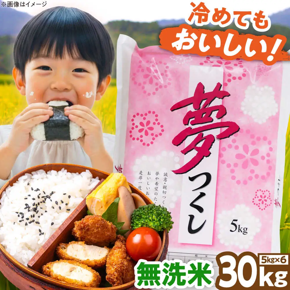 【令和7年度産】無洗米 夢つくし 30kg 精米 [BGBV022]
