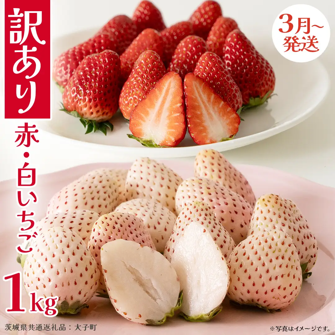 訳あり 紅白いちご 1kg【2027年3月発送開始】(茨城県共通返礼品：大子町) 苺 果物 フルーツ 果実 ご家庭用