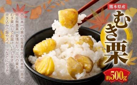 熊本県産 むき栗 約500g クリ くり 栗 フルーツ くだもの 果物 国産【2026年10月上旬発送開始】