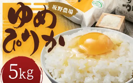 令和7年産 らんこし米 ゆめぴりか5kg
