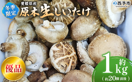 ＜冬季限定 原木生しいたけ 優品 約1kg＞ 20個前後 原木生椎茸 しいたけ シイタケ きのこ 優品 バーベキュー BBQ すき焼き しゃぶしゃぶ 料理 国産 愛媛県産 横林自治振興協議会 愛媛県 西予市【冷蔵】『11月中旬～3月上旬に順次出荷予定』NYJ0008