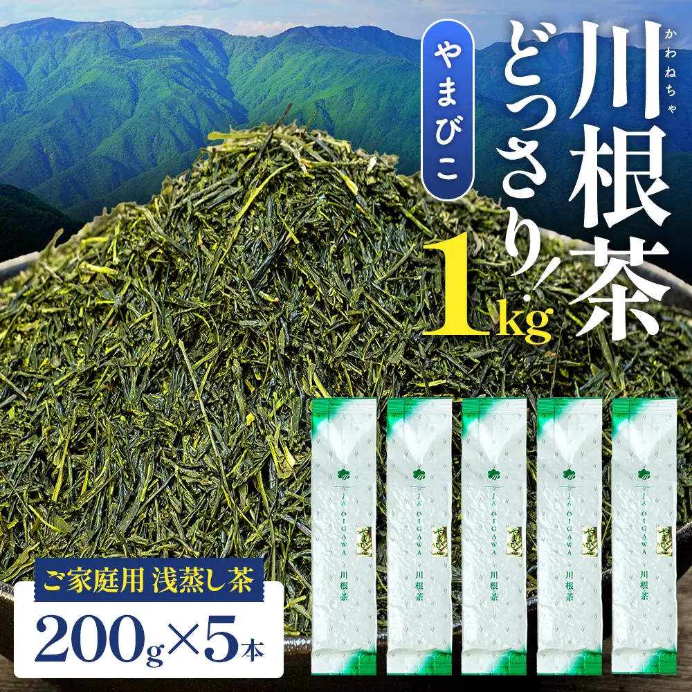 16-6 川根茶 どっさり ご家庭用飲み茶 1kgセット やまびこ　200ｇ袋×５本