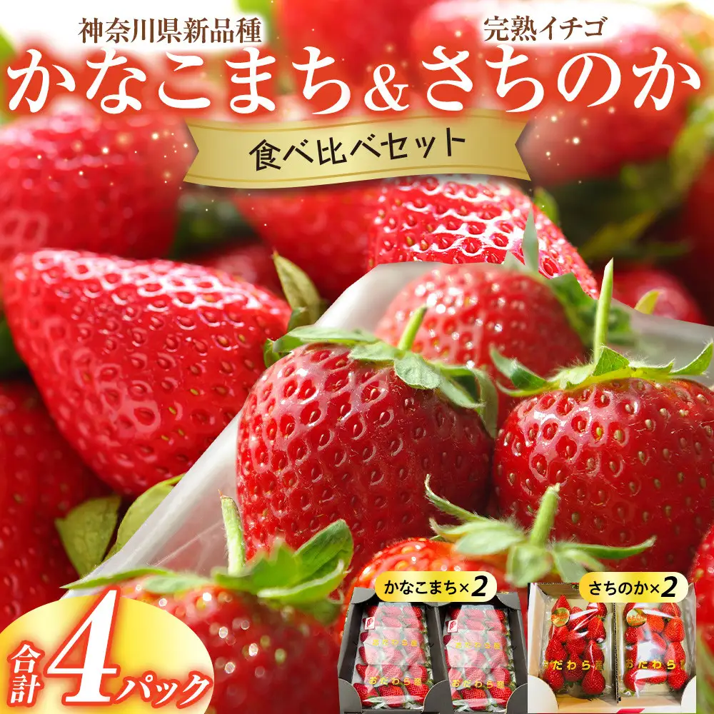 【期間限定・数量限定！】神奈川県新品種「かなこまち＆さちのか」食べ比べセット　完熟イチゴ　苺　4パック入り |  フルーツ 果物 食べ比べ セット 神奈川県 小田原市