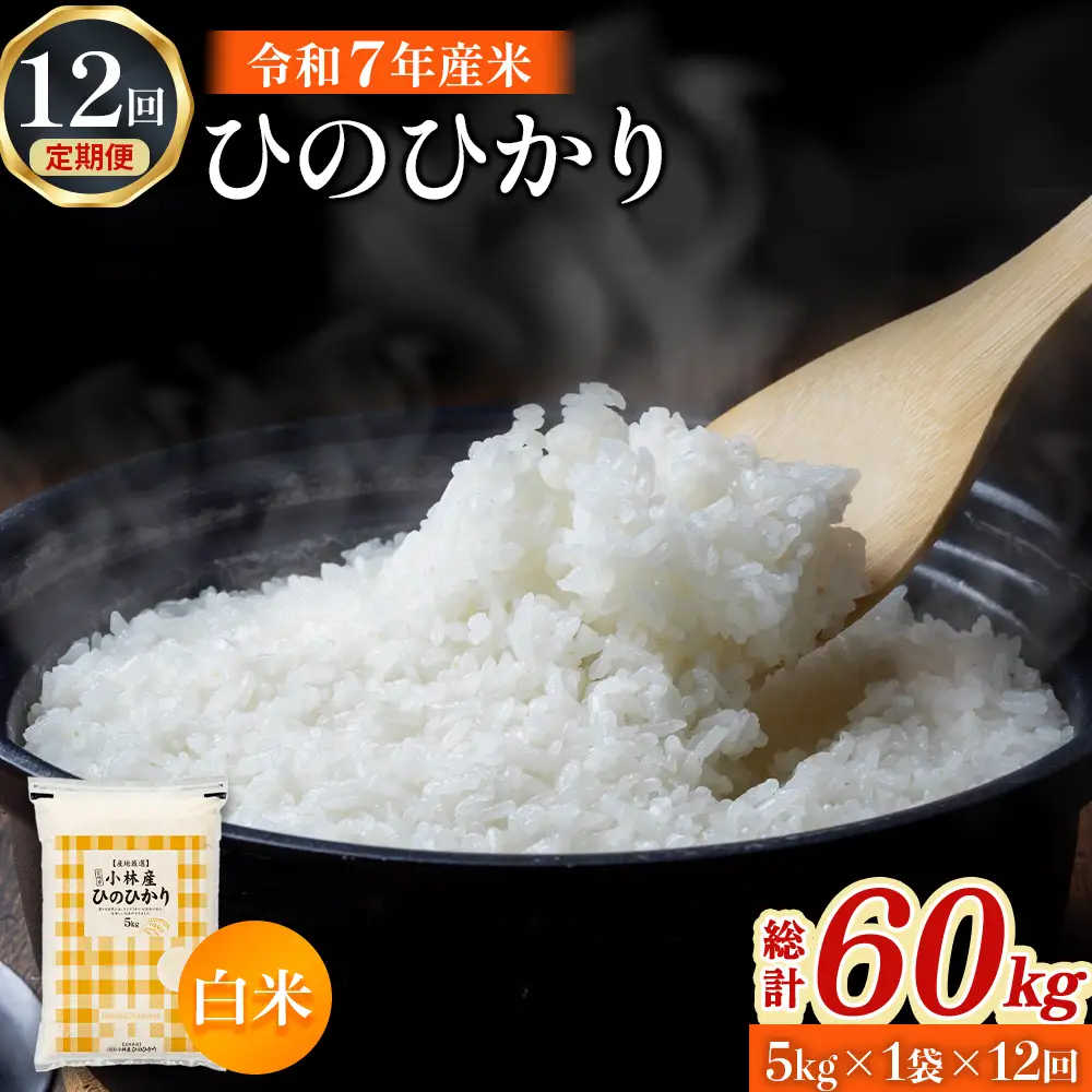【定期便 全12回】令和7年産米 ヒノヒカリ 5kg×12回 計60kg（お米 米 ひのひかり 国産 人気 お弁当 定期便 宮崎県 小林市）