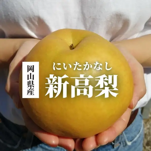 新高梨 ご家庭用 3-6玉 (岡山県産) 【KF-C020-01】