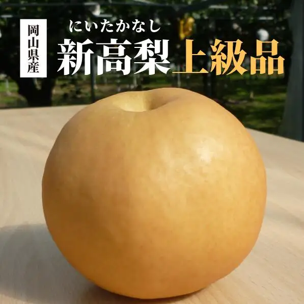 新高梨 上級品 3-6玉 (岡山県産)【KF-C002-01】