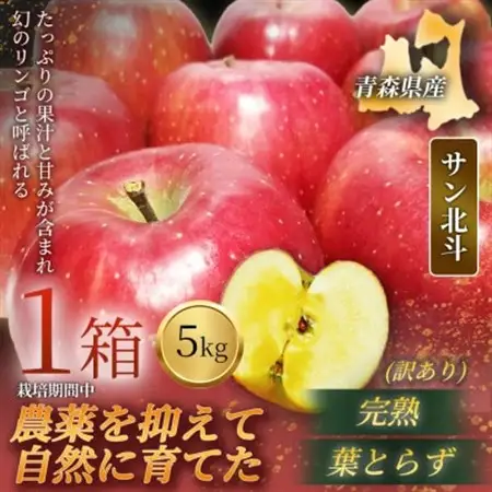 【青森直送 季節の味覚をお届け!】サン北斗(幻のサン北斗)5kg×1箱(訳あり)青森産 産地直送【配送不可地域：離島】【1700964】