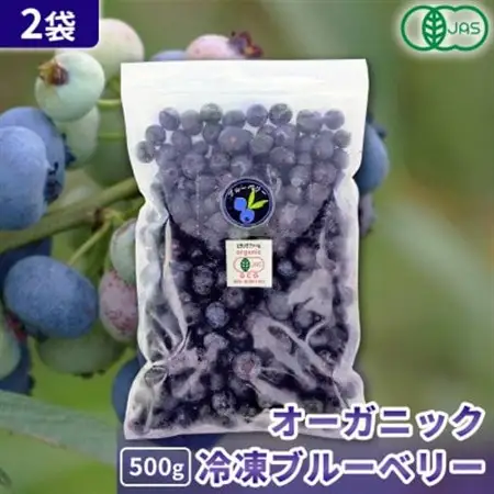 有機JAS認証 冷凍ブルーベリー1kg(500g×2袋)【北海道十勝産】【配送不可地域：離島】【1677076】