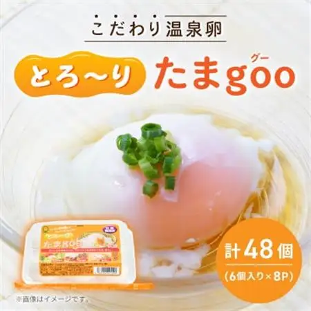 《とろ～りたまgoo 48個》こだわり温泉卵(6個入り×8パック)【配送不可地域：離島】【1702137】