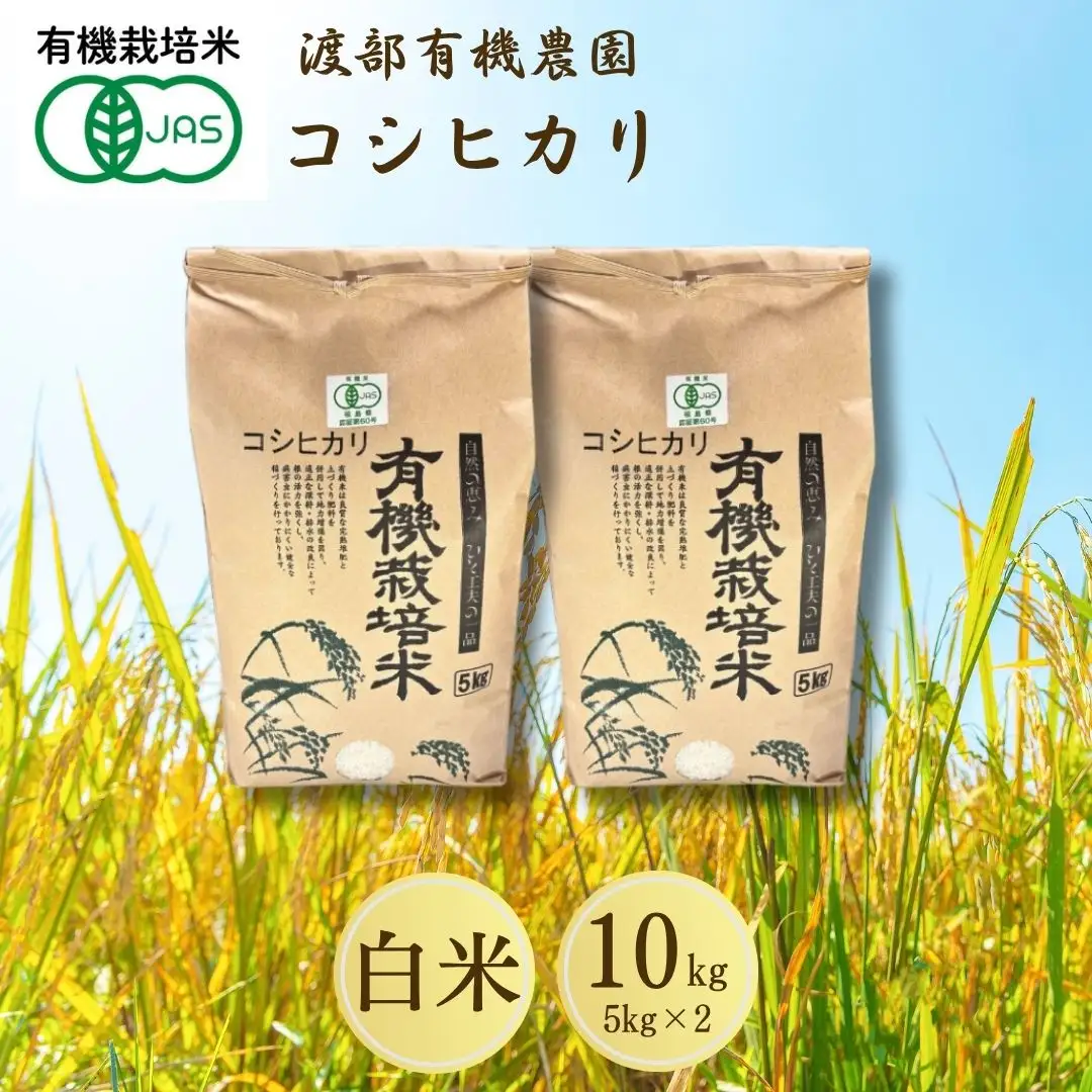 JAS有機米 コシヒカリ 白米 10kg | 令和7年産 渡部有機農園